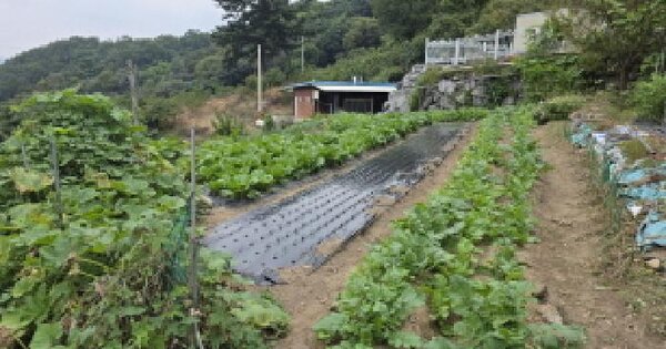 경상북도 청도군 운문면 봉하리 1673 대지 경매 물건 이미지