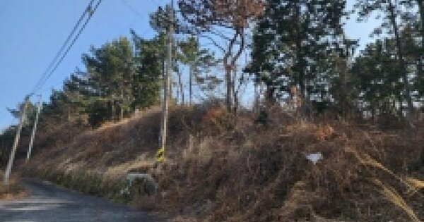 전남광주통합특별시 여수시 돌산읍 평사리 산561-8 임야 경매 물건 이미지