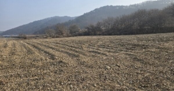 충청북도 음성군 원남면 덕정리 238 전 경매 물건 이미지