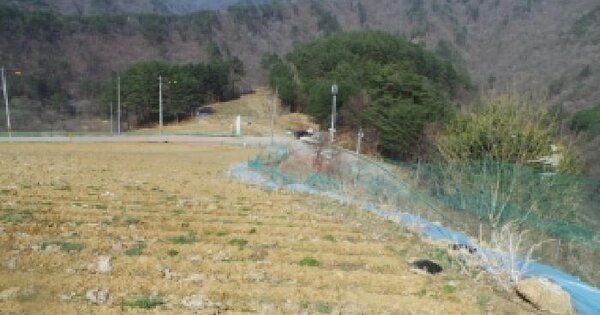 강원특별자치도 홍천군 내면 율전리 168-5 전 경매 물건 이미지