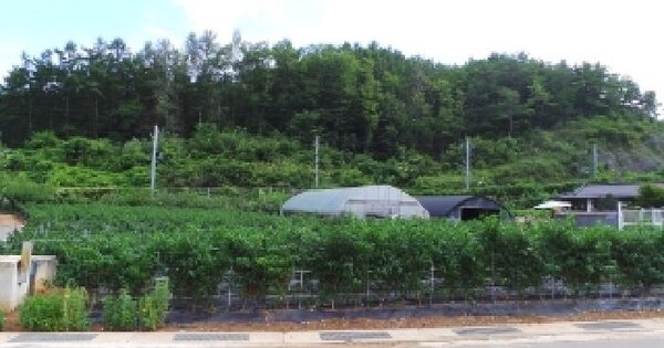 강원특별자치도 영월군 남면 연당리 1277-3 전 경매 물건 이미지