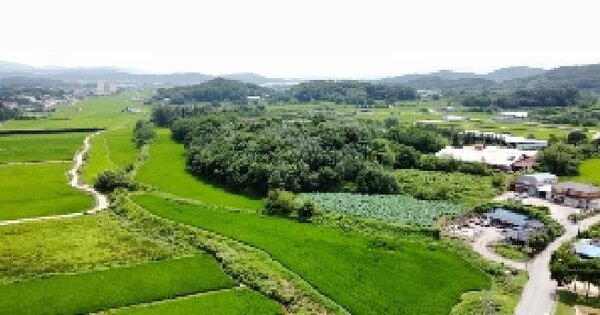 경상북도 구미시 해평면 금호리 303 답 경매 물건 이미지