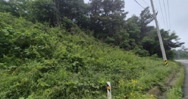 전남광주통합특별시 영광군 법성면 삼당리 산34 임야 경매 물건 이미지