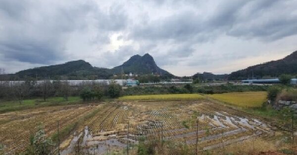 충청북도 영동군 황간면 신흥리 332-1 답 경매 물건 이미지