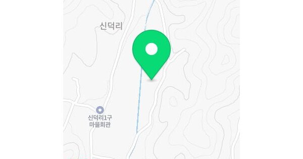 전남광주통합특별시 화순군 도곡면 신덕리 1044-1  답 경매 물건 이미지