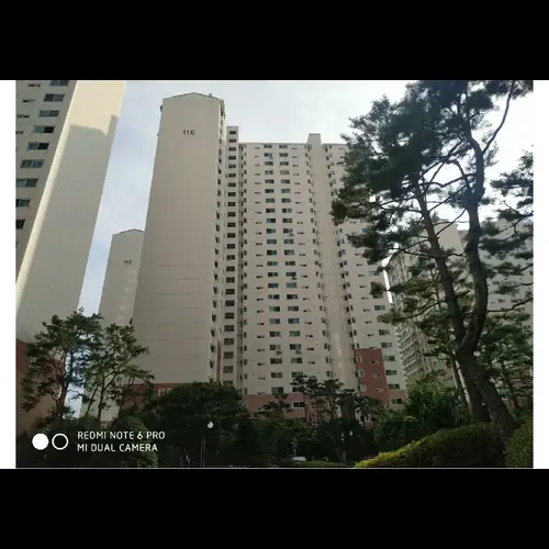 물건 사진