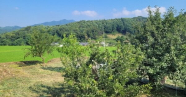 경기도 양평군 양서면 증동리 155 전 경매 물건 이미지