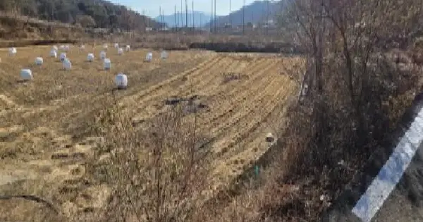 경상북도 김천시 개령면 남전리 465-2 답 경매 물건 이미지