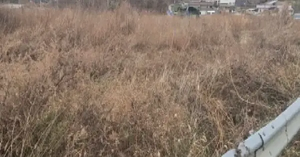 울산광역시 울주군 상북면 향산리 28-4 답 경매 물건 이미지