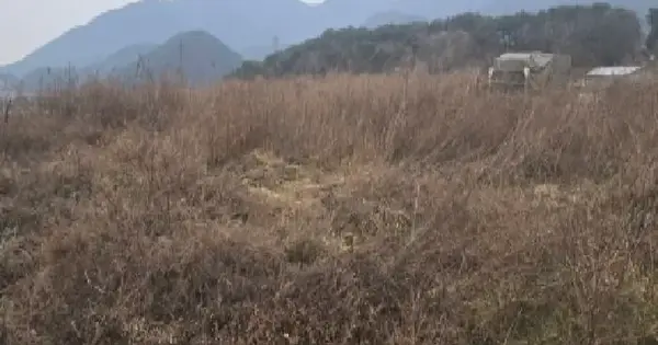 울산광역시 울주군 상북면 향산리 28-2 답 경매 물건 이미지