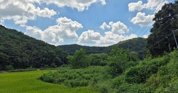 경상북도 의성군 금성면 도경리 331 답 경매 물건 이미지