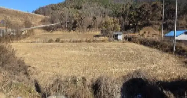 경상북도 김천시 개령면 남전리 453 전 경매 물건 이미지