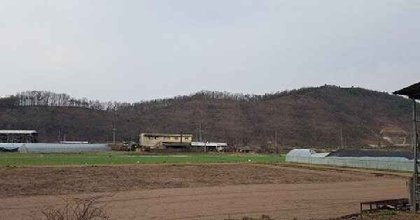 경상북도 의성군 단촌면 세촌리 870 답 경매 물건 이미지