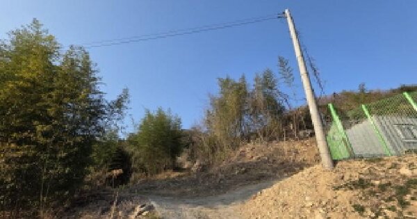 경상북도 성주군 용암면 죽전리 산44 임야 경매 물건 이미지