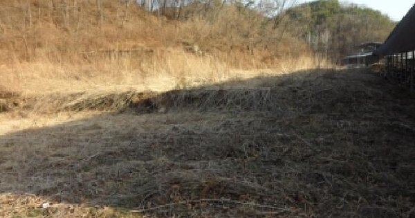경상북도 고령군 쌍림면 평지리 326 전 경매 물건 이미지