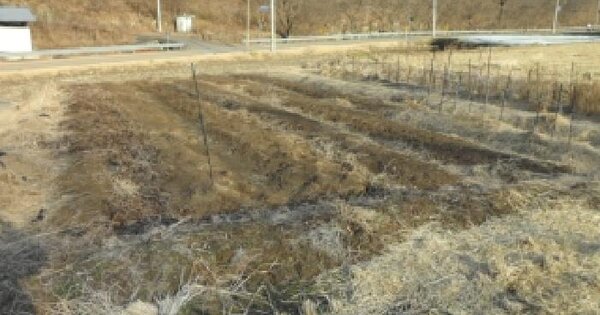 경상북도 고령군 쌍림면 평지리 855 전 경매 물건 이미지