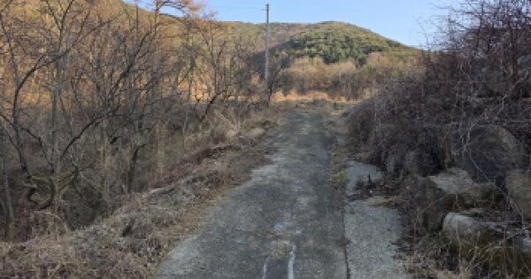 경상북도 청도군 풍각면 성곡리 1117-16 과수원 경매 물건 이미지