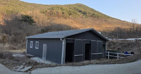 경상북도 청도군 풍각면 성곡리 1113-3 과수원 경매 물건 이미지