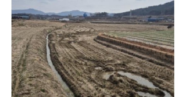 전남광주통합특별시 영광군 영광읍 연성리 257-1 답 경매 물건 이미지