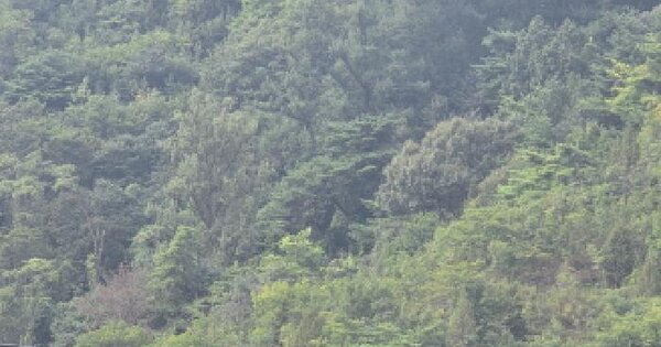 충청북도 제천시 수산면 내리 430 전 경매 물건 이미지