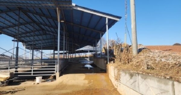 전북특별자치도 김제시 금구면 낙성리 249-4 공장용지 경매 물건 이미지