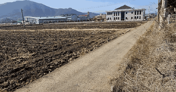 전남광주통합특별시 장흥군 장흥읍 건산리 208-10 답 경매 물건 이미지
