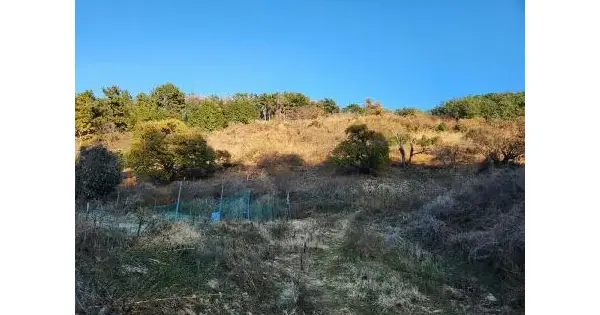 경상남도 거제시 하청면 대곡리 577-1 과수원 경매 물건 이미지