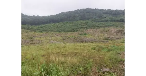 전북특별자치도 부안군 변산면 마포리 산86-126 대지 경매 물건 이미지