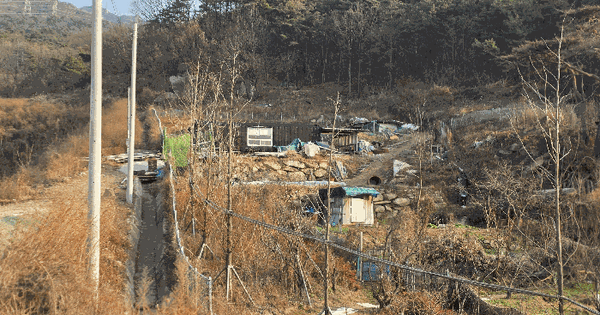 경상남도 양산시 동면 가산리 408 답 경매 물건 이미지