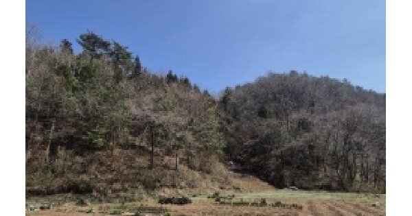 전남광주통합특별시 화순군 백아면 용곡리 산187 임야 경매 물건 이미지