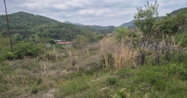 전남광주통합특별시 화순군 동면 복암리 468-26 전 경매 물건 이미지