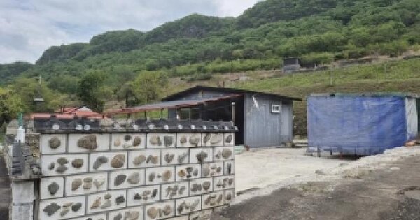 전남광주통합특별시 화순군 동면 복암리 467-3 대지 경매 물건 이미지