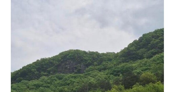 전남광주통합특별시 화순군 동면 복암리 461-8 전 경매 물건 이미지