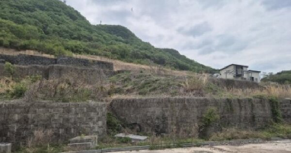 전남광주통합특별시 화순군 동면 복암리 459-36 과수원 경매 물건 이미지