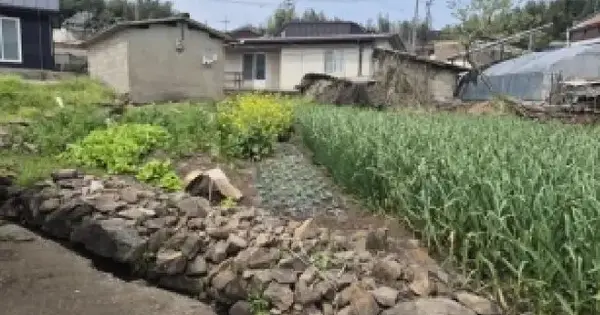 전남광주통합특별시 화순군 도암면 원천리 909 대지 경매 물건 이미지