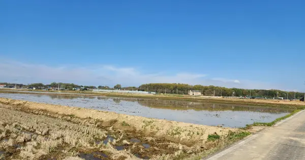 경기도 여주시 세종대왕면 번도리 839 답 경매 물건 이미지
