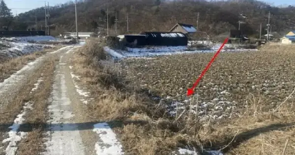 경기도 파주시 파평면 마산리 282 전 경매 물건 이미지