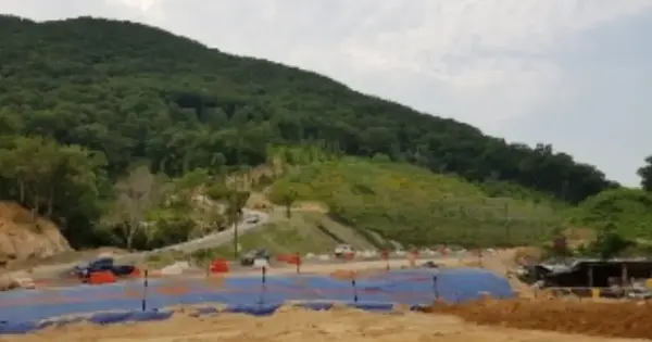 경상남도 김해시 대동면 덕산리 산38-48 임야 경매 물건 이미지