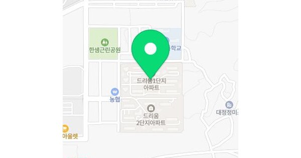 대전광역시 유성구 대정동 316-1 대전드리움아파트1단지 102동 2층204호 아파트 경매 물건 이미지