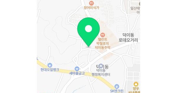 경기도 고양시 일산서구 덕이동 419-2 디자인하우스 1동 2층201호 다세대주택 경매 물건 이미지