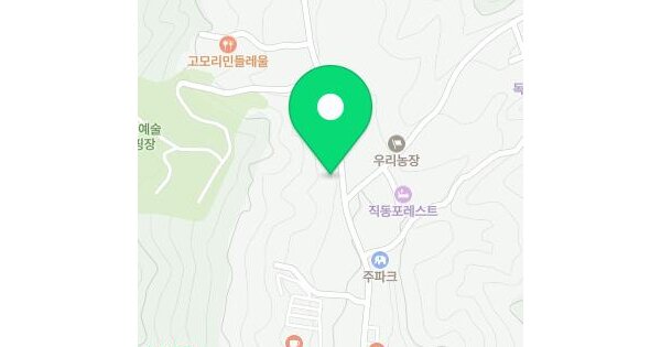 경기도 포천시 소흘읍 직동리 산99-1  임야 경매 물건 이미지