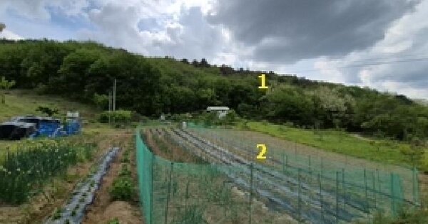 강원특별자치도 원주시 소초면 장양리 841-9 과수원 경매 물건 이미지
