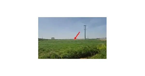 전남광주통합특별시 무안군 망운면 송현리 58-8 답 경매 물건 이미지