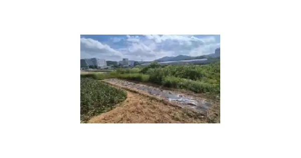 전남광주통합특별시 무안군 청계면 도림리 408-21 임야 경매 물건 이미지