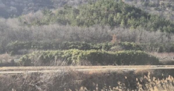 경상북도 포항시 북구 흥해읍 칠포리 777 답 경매 물건 이미지
