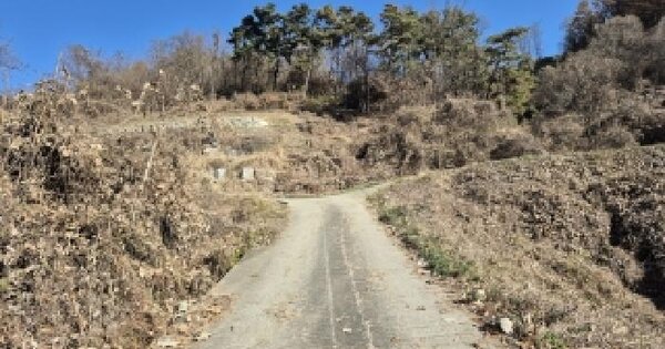 강원특별자치도 횡성군 횡성읍 옥동리 130 전 경매 물건 이미지