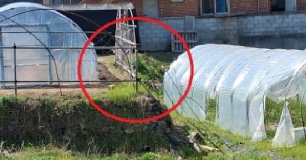 강원특별자치도 춘천시 신동 932-3 대지 경매 물건 이미지