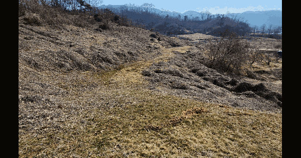 충청북도 음성군 음성읍 용산리 1140 전 경매 물건 이미지