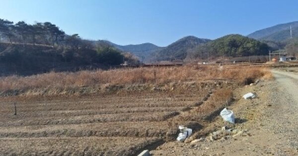 전남광주통합특별시 순천시 서면 구상리 300-2 답 경매 물건 이미지