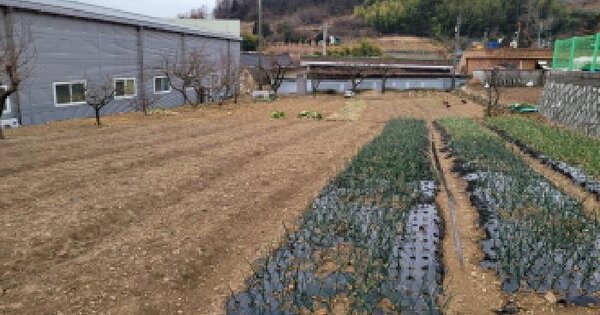 전남광주통합특별시 여수시 소라면 대포리 605-4 전 경매 물건 이미지